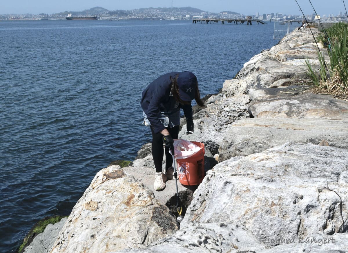 Alameda Post - a volunteer fishes trash out of the rocks
