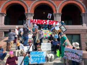 Protestors unfurl a "Hands Off" banner over Alameda City Hall during the April 5, 2025 Hands Off Rally in Alameda, CA. Photo Adam Gillitt.