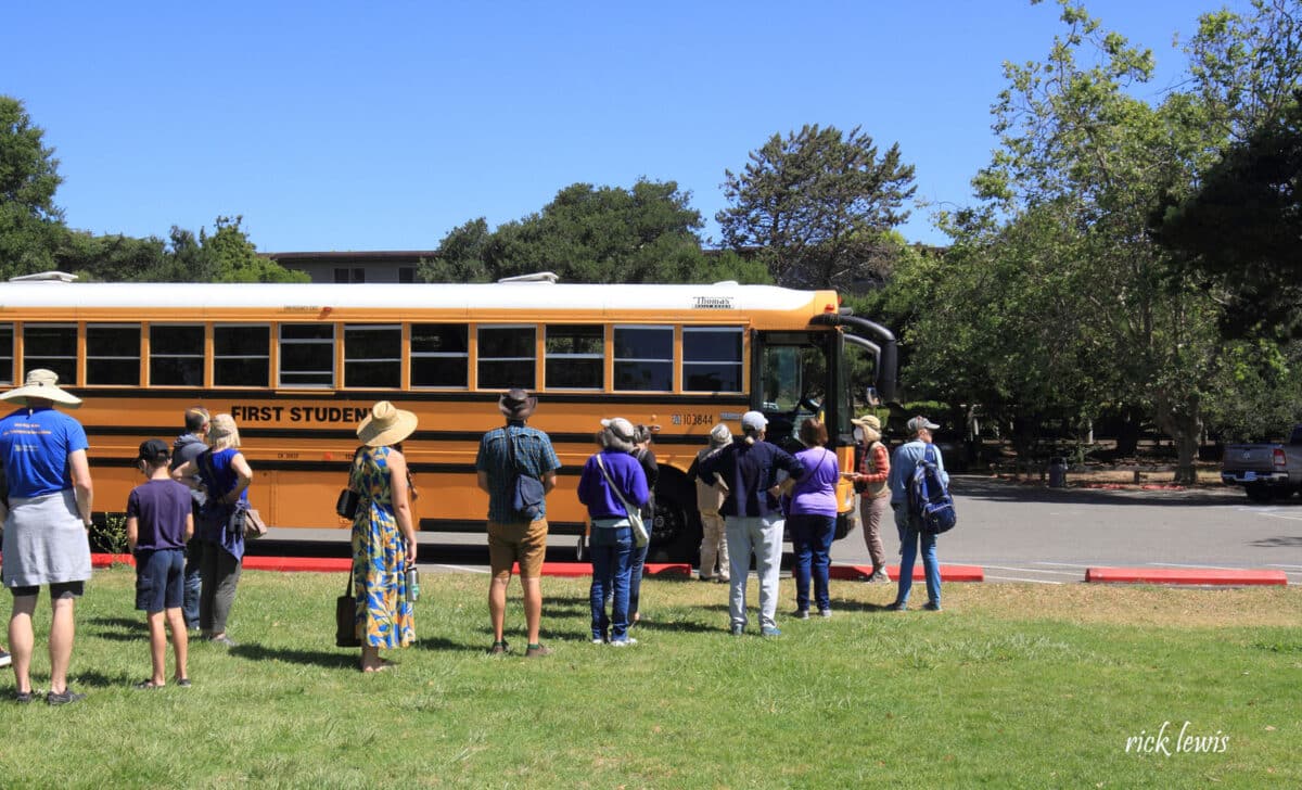 Alameda Post - a line of adults wait to board a yellow school bus