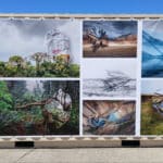 Alameda Post - photographs of landscapes displayed on the side of a shipping container at FOCUS Fest. They include icebergs, rivers, forests, and deserts