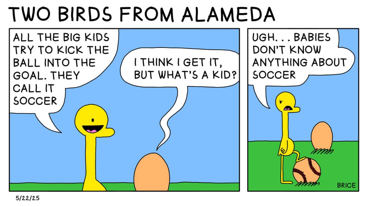 Alameda Post - Two Birds from Alameda for May 22, 2025. First panel: A gosling says to an unhatched egg, "All the big kids try to kick the ball into the goal. They call it soccer." The egg replies, "I think I get it, but what's a kid?" Second panel: The gosling stands with a foot on a baseball and says "Ugh.. babies don't know anything about soccer."