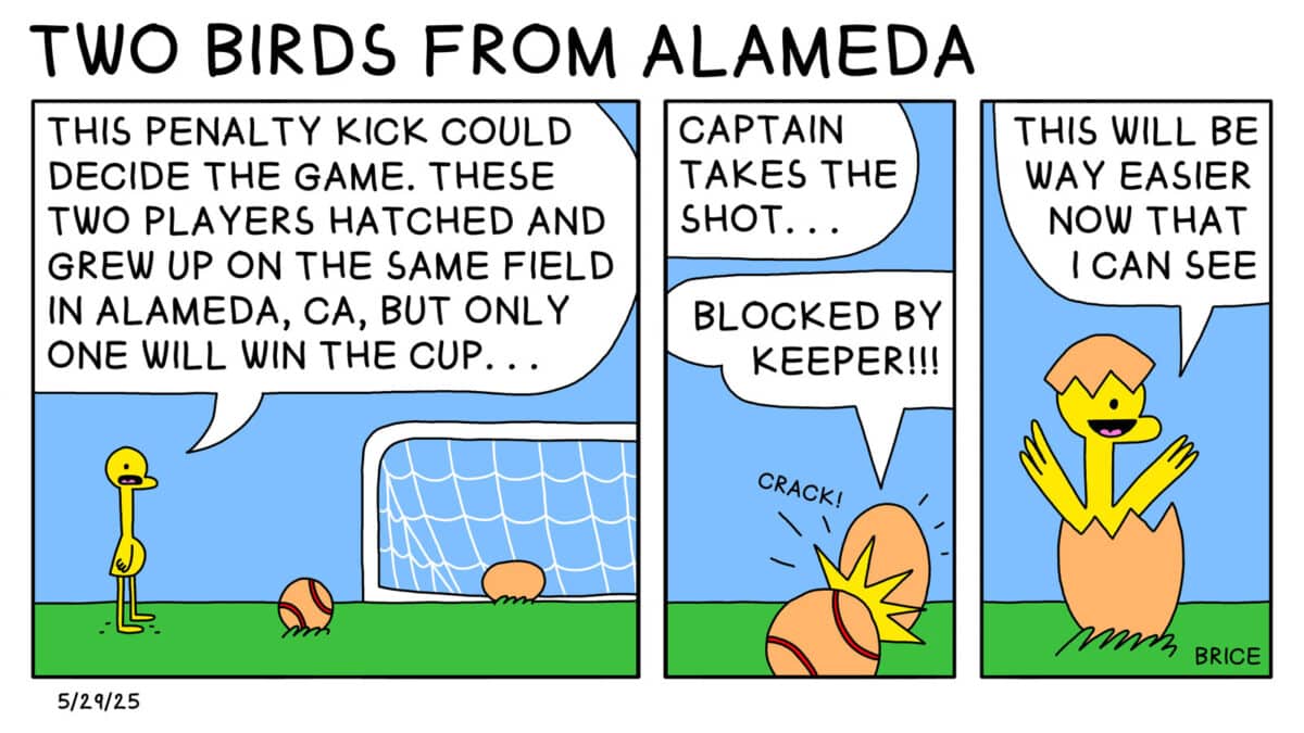 Alameda Post - Two Birds from Alameda for May 29, 2025. First panel: A gosling stands next to a baseball in front of a soccer goal. In the soccer goal, an egg sits. The gosling says, "this penalty kick could decide the game. These two players hatched and grew up on the same field in Alameda, CA, but only one will win the cup..." Second panel: Gosling continues, "Captain takes the shot..." The baseball cracks into the egg, and the egg says, "Blocked by keeper!" Third panel: The egg has hatched into a second Gosling who says, "This will be way easier now that I can see."