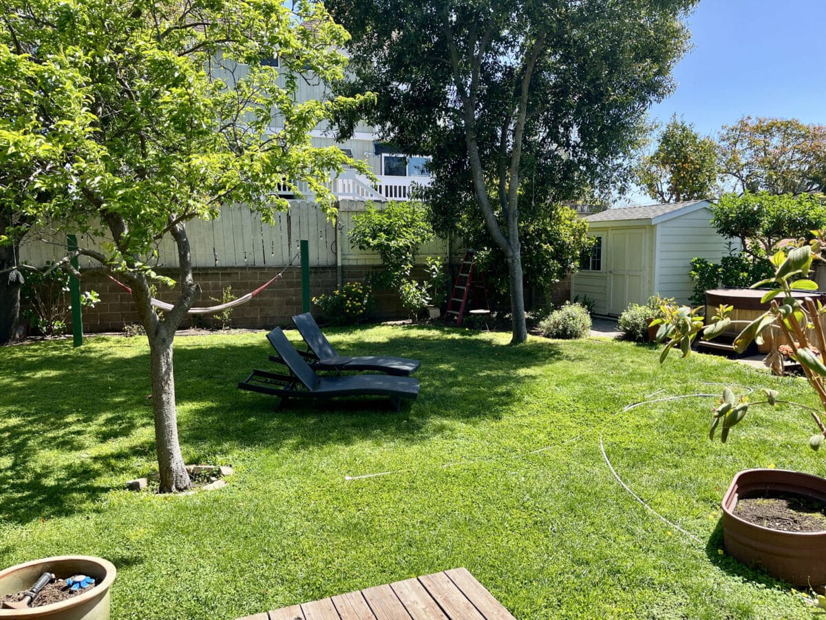 Alameda Post - a beautiful green backyard at 1620 Fourth Street