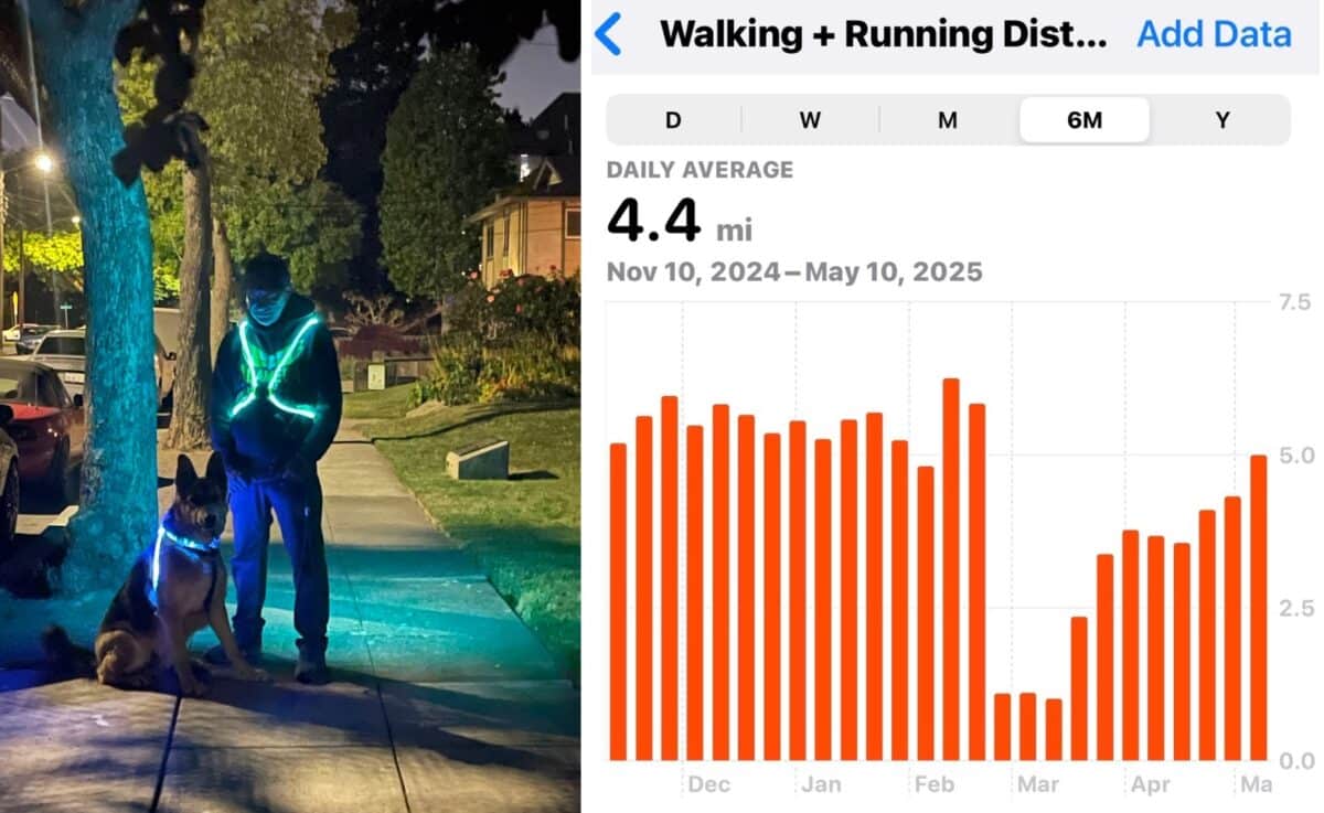 Alameda Post - Mouf and his human companion wearing light up gear at night and a screenshot of an app that indicates an average daily running and walking distance of 4.4 miles but shows a large dip in March 2025 and a steady return to more miles in April and May
