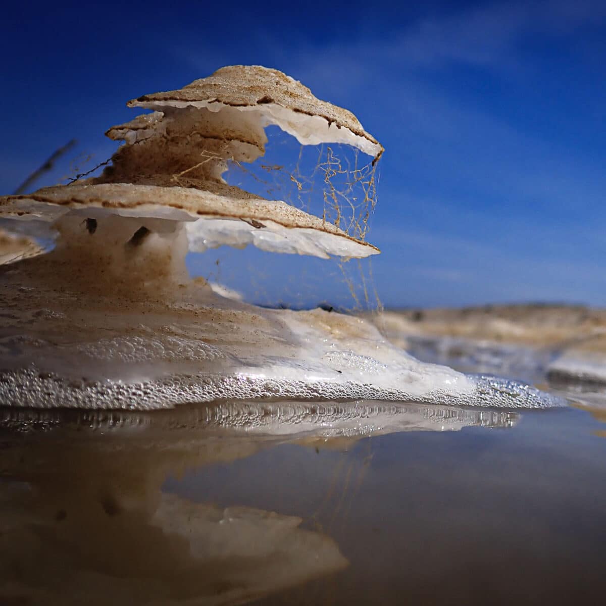 Alameda Post - a photograph of salt and water in a captivating shape