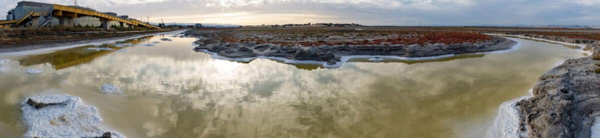 Alameda Post - a panoramic view of salty water near shore