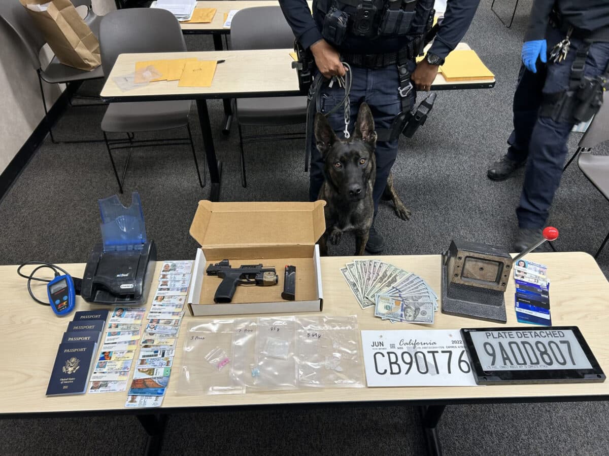 Alameda Post - primo the police K9 stands in front of cash, a firearm, and stolen items collected during an investigation into an identity theft scheme