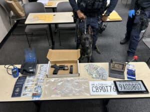 Alameda Post - primo the police K9 stands in front of cash, a firearm, and stolen items collected during an investigation into an identity theft scheme