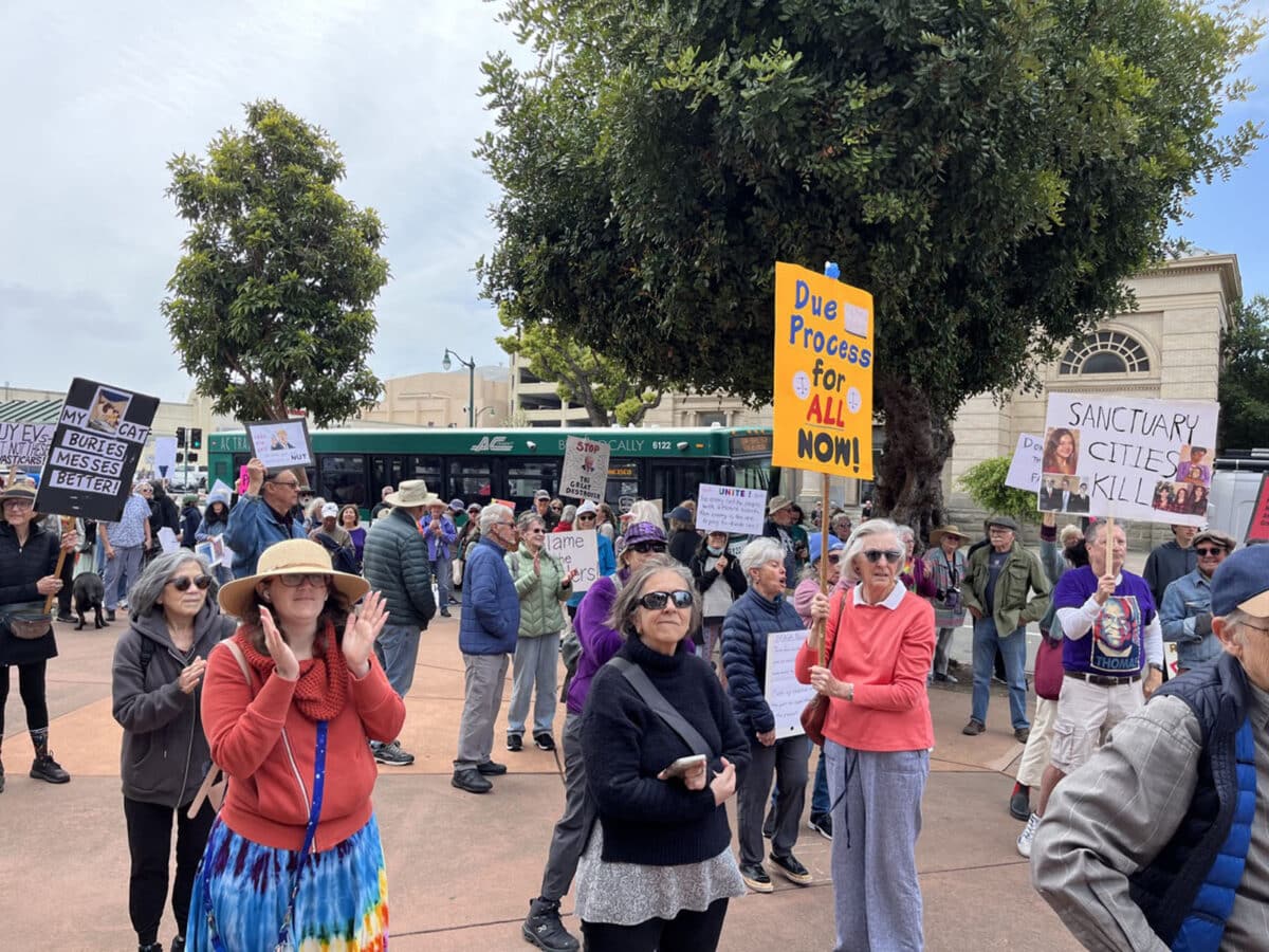 Alameda Post - protestors in front of City Hall in Alameda hold signs that say things like "Due Process for all now"