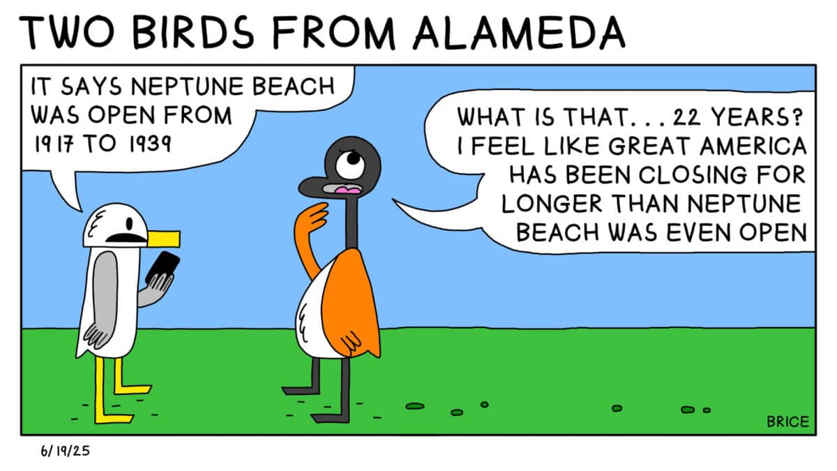 Alameda Post - Two Birds from Alameda for June 19, 2025. Seagull stands with a phone and talks to Goose. Seagull says, "It says Neptune Beach was open from 1917 to 1939." Goose replies, "What is that... 22 Years? I feel like great America has been closing for longer than Neptune Beach was ever open."