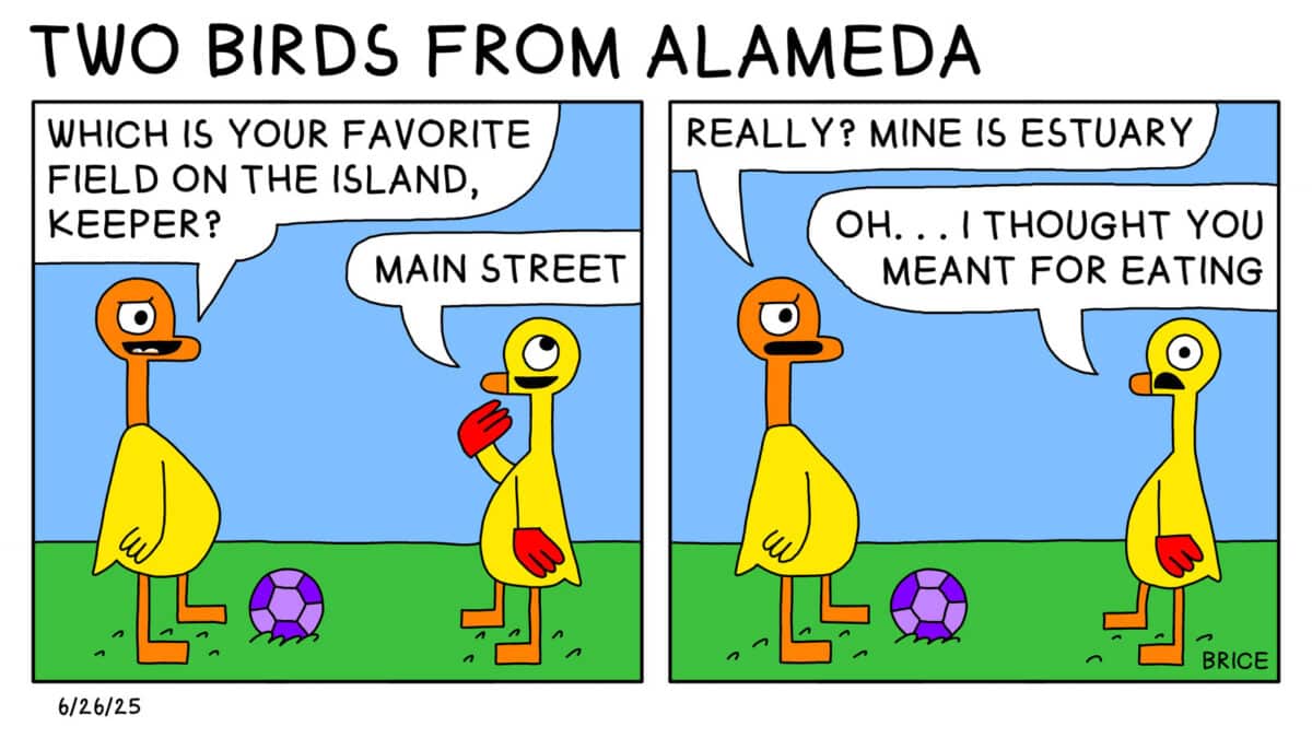 Alameda Post - Two Birds from Alameda for June 26, 2025. First panel: Two goslings stand on a soccer field next to a ball. One older gosling asks a younger gosling, "Which is your favorite field on the island, Keeper?" The younger bird replies, "Main Street." Second panel: The older gosling says, "Really? Mine is estuary." The younger replies, "Oh... I thought you meant for eating." 