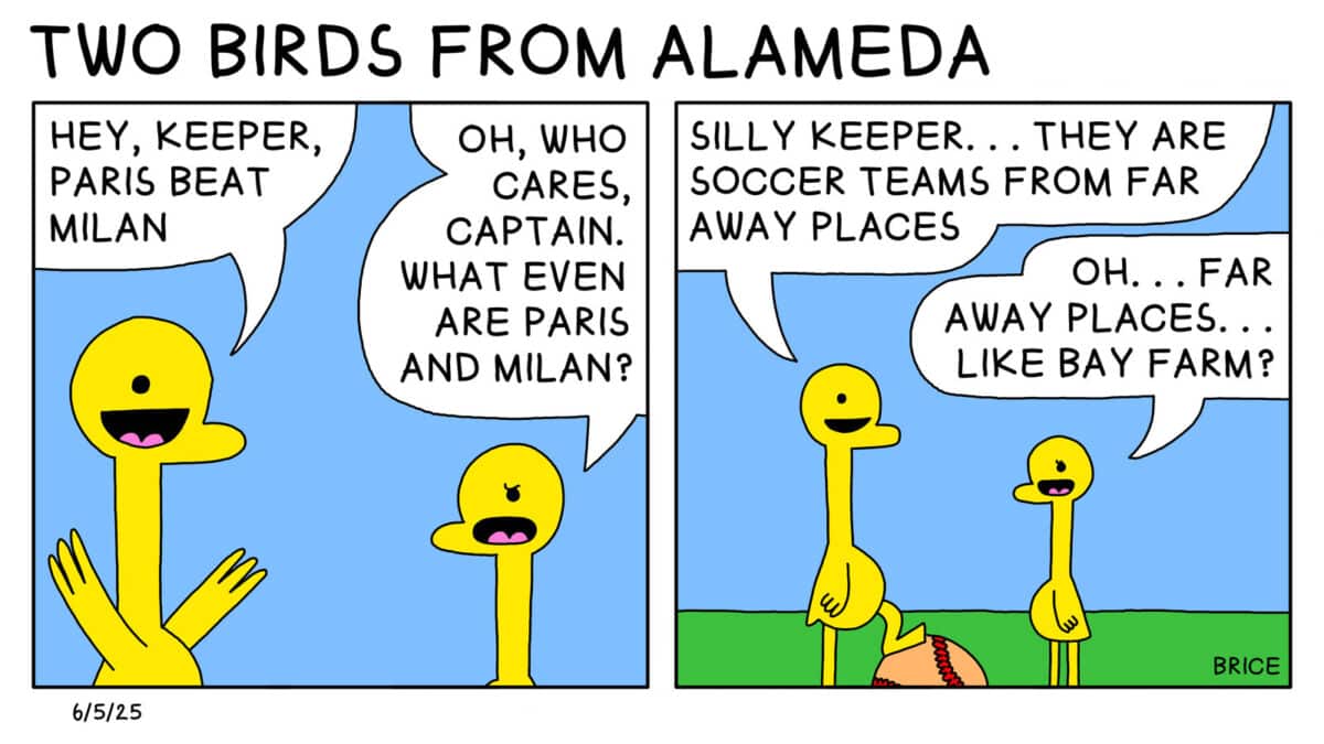 Alameda Post - Two Birds from Alameda for June 5, 2025. First panel: An older and younger gosling talk to each other. The older one says, "Hey, keeper, Paris beat Milan." The younger replies, "Oh, who cares, captain. What even are Paris and Milan?" Second panel: From a wider view, the panel shows that the older gosling has their foot on a baseball. The older gosling says, "Silly keeper... they are soccer teams from far away places." The younger replies, "Oh... far away places... like Bay Farm?"