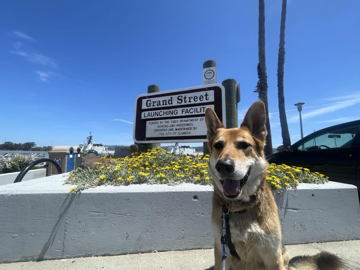 Alameda Post - Moug sits in front of the sign at Grand Street launching facility