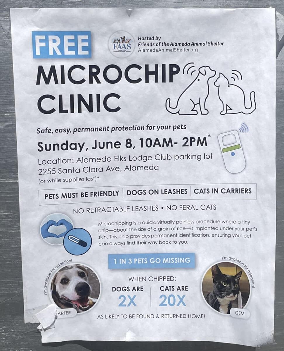Alameda Post - a poster for a free microchip clinic