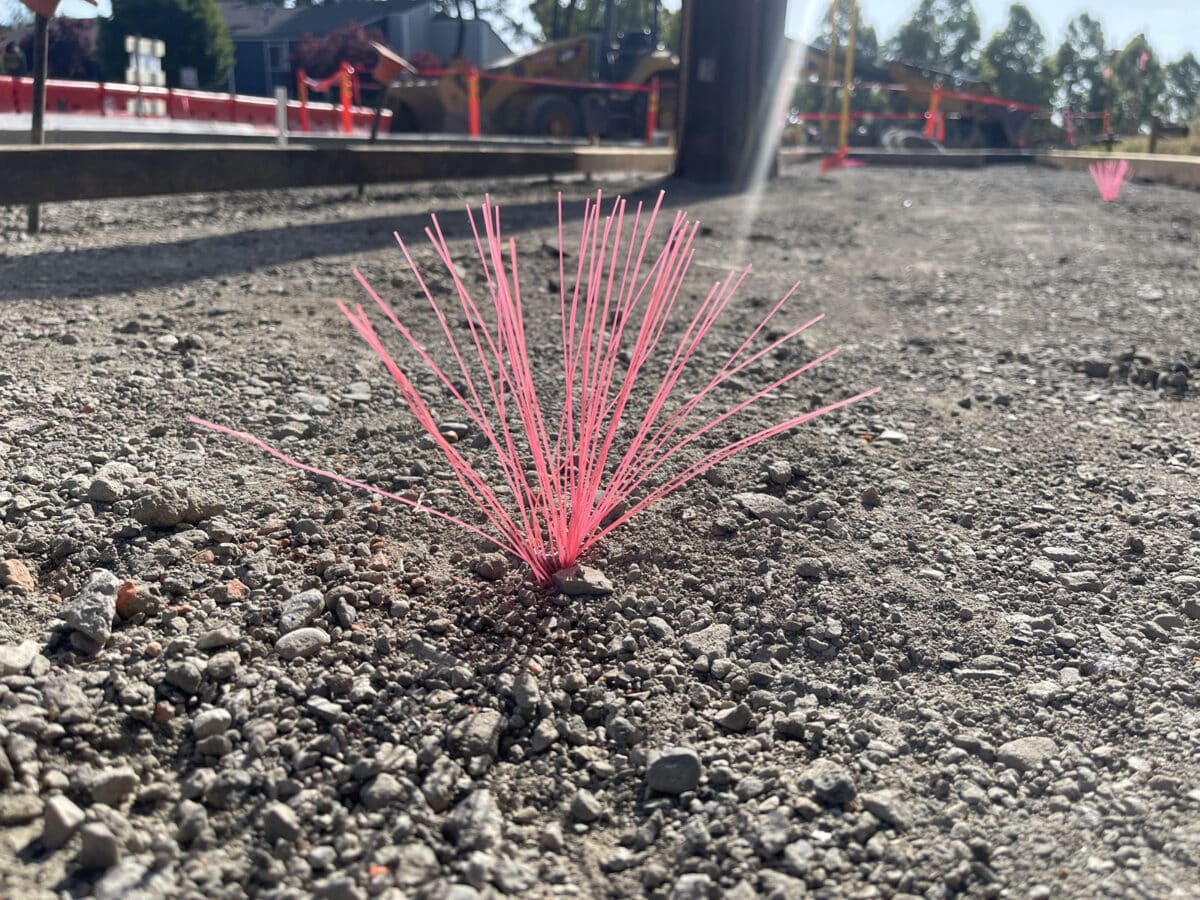Alameda Post - a small bundle of bright pink sticks or wires poke out of the ground