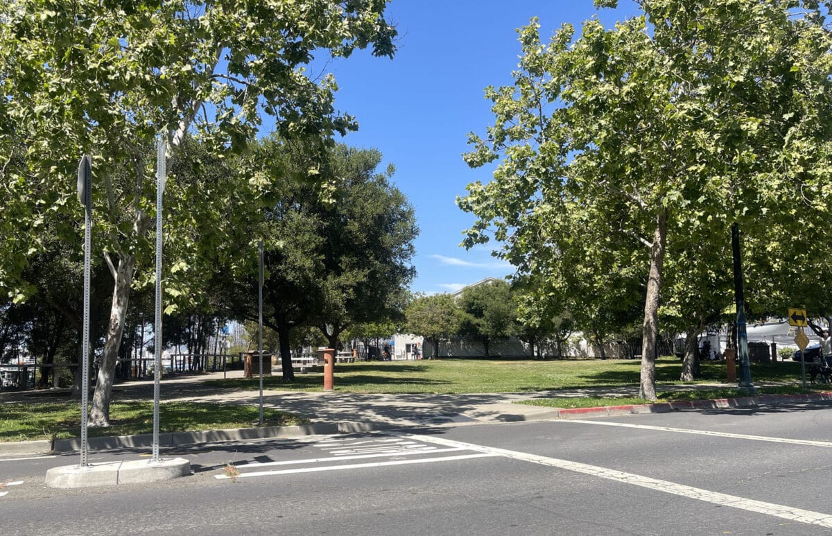 Alameda Post - a large grassy area by the marina