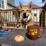 Alameda Post - Mouf sits at a table on a back porch. In front of him are a donut and a coffee mug that says The Bear's Eye View of Alameda
