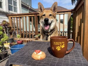 Alameda Post - Mouf sits at a table on a back porch. In front of him are a donut and a coffee mug that says The Bear's Eye View of Alameda