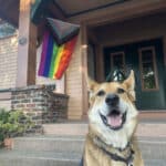 Alameda Post - Mouf the dog sits in front of a home with a pride flag