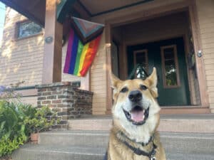 Alameda Post - Mouf the dog sits in front of a home with a pride flag