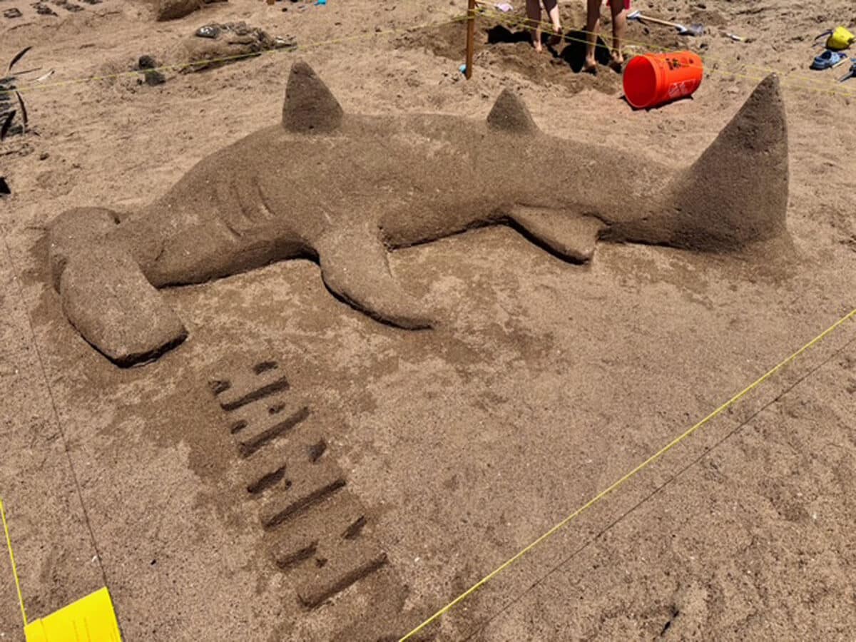 Alameda Post - a sand sculpture of a shark