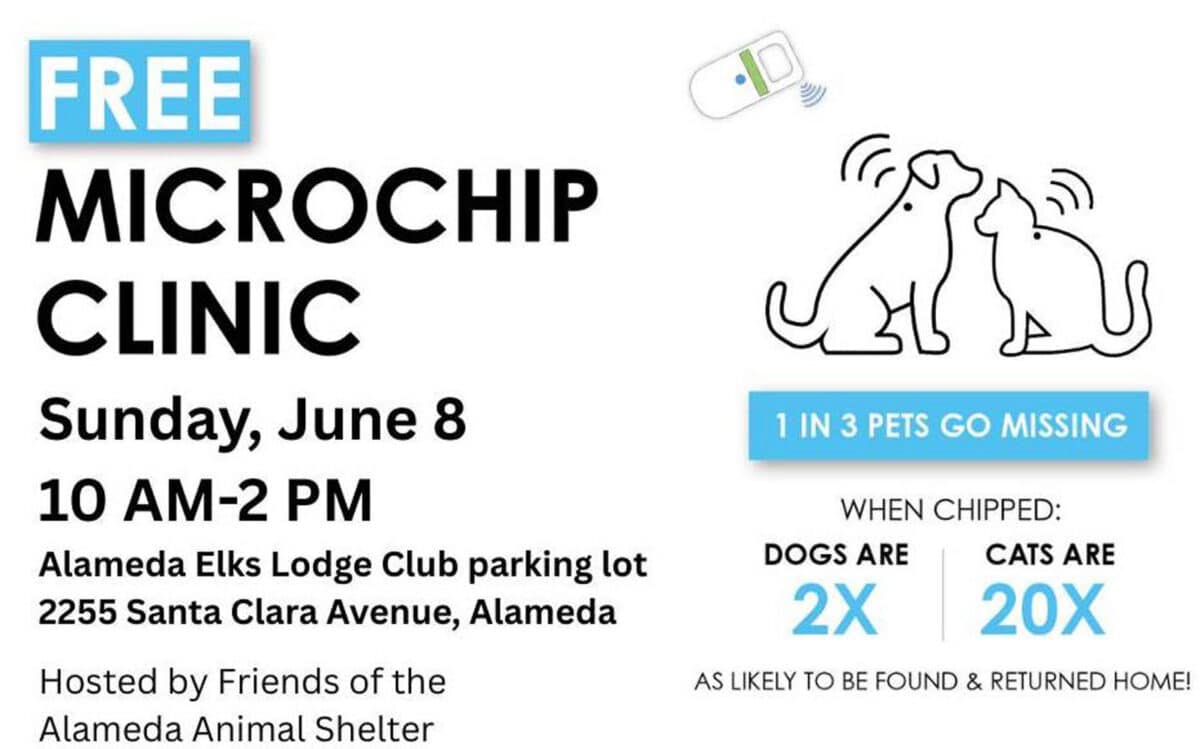 Alameda Post - a poster for the FAAS Free Microchip Clinic