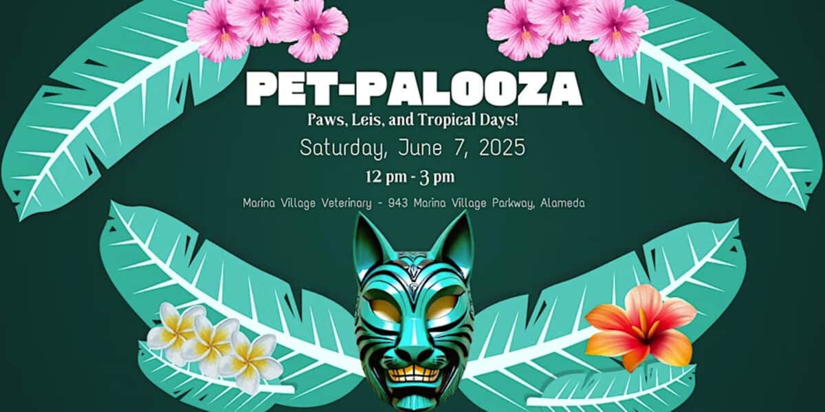 Alameda Post - a poster for Pet-Palooza at Marina Village Veterinary