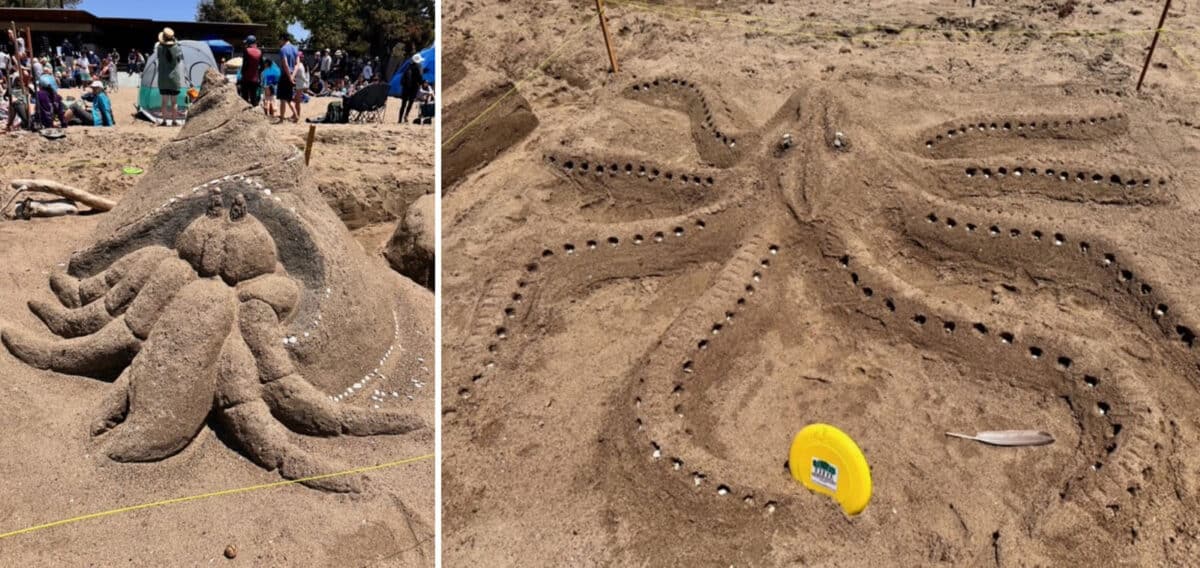 Alameda Post - sand sculptures of a hermit crab and an octopus