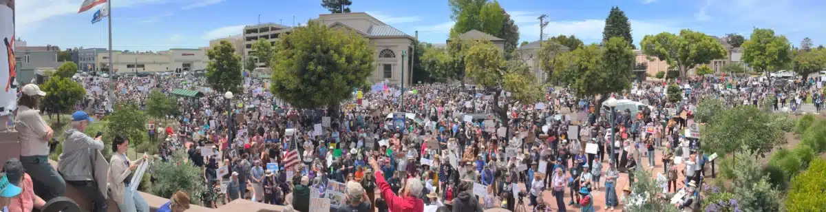 Alameda Post - a large crowd of almost 3000 gathers in front of City Hall in Alameda