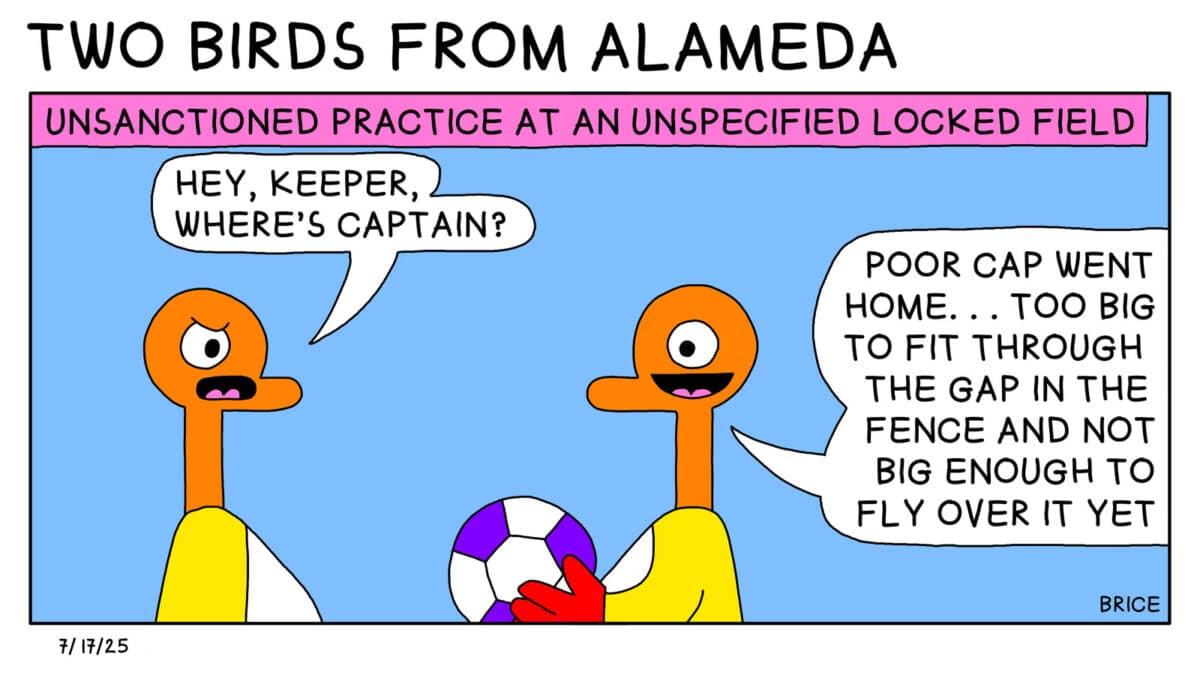 Alameda Post - Two Birds from Alameda for July 17, 2025: Only panel: Text across the top reads, "Unsanctioned practice at an unspecified locked field." One gosling says to another, "Hey, Keeper, where's Captain?" Keeper replies, "Poor cap went home... too big to fit through the gap in the fence and not big enough to fly over it yet."