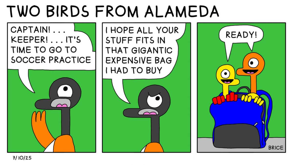 Alameda Post - Two Birds from Alameda for July 10, 2025. First panel: Goose says, "Captain!... Keeper!... It's time to go to soccer practice." Second panel: Goose says, " I hope all your stuff fits in that gigantic expensive bag I had to buy." Third panel: Two goslings say, "Ready!" They are both inside a backpack.