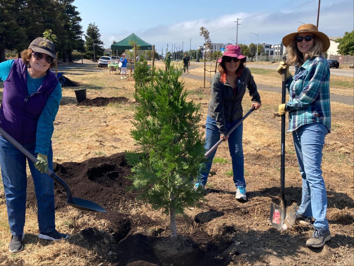 Alameda Post - three women smile and holds shovels after planting a cedar tree sapling 