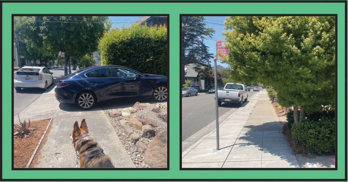 Alameda Post - a car and tree that encroach on the sidewalk