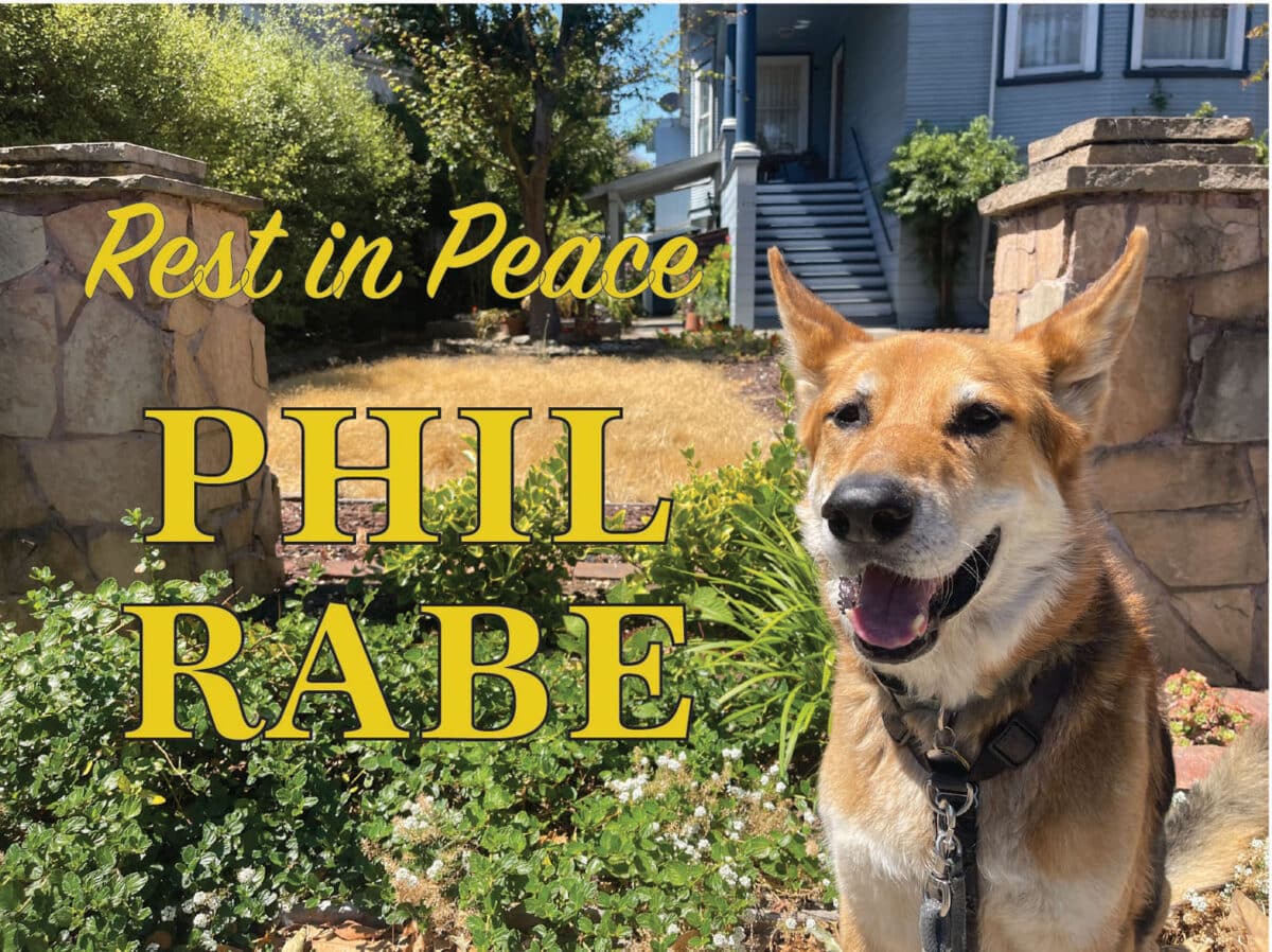 Alameda Post - a photo of Mouf the dog with text that says "Rest in Peace Phil Rabe"