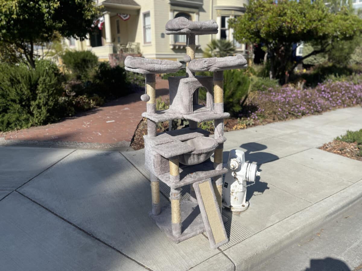 Alameda Post - a massive cat tree with five levels and many features