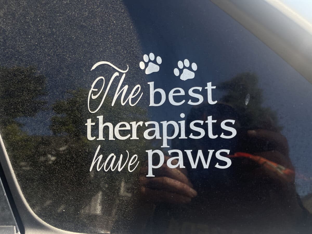 Alameda Post - a sticker on a car that says, "The best therapists have paws"