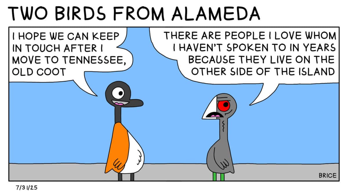 Alameda Post - Two Birds from Alameda fro July 31, 2025. Single panel: Goose and Old Coot stand and talk. Goose says, "I hope we can keep in touch after I move to Tennessee, Old Coot." Old Coot replies, "There are people I love whom I haven't spoken to in years because they live on the other side of the island."