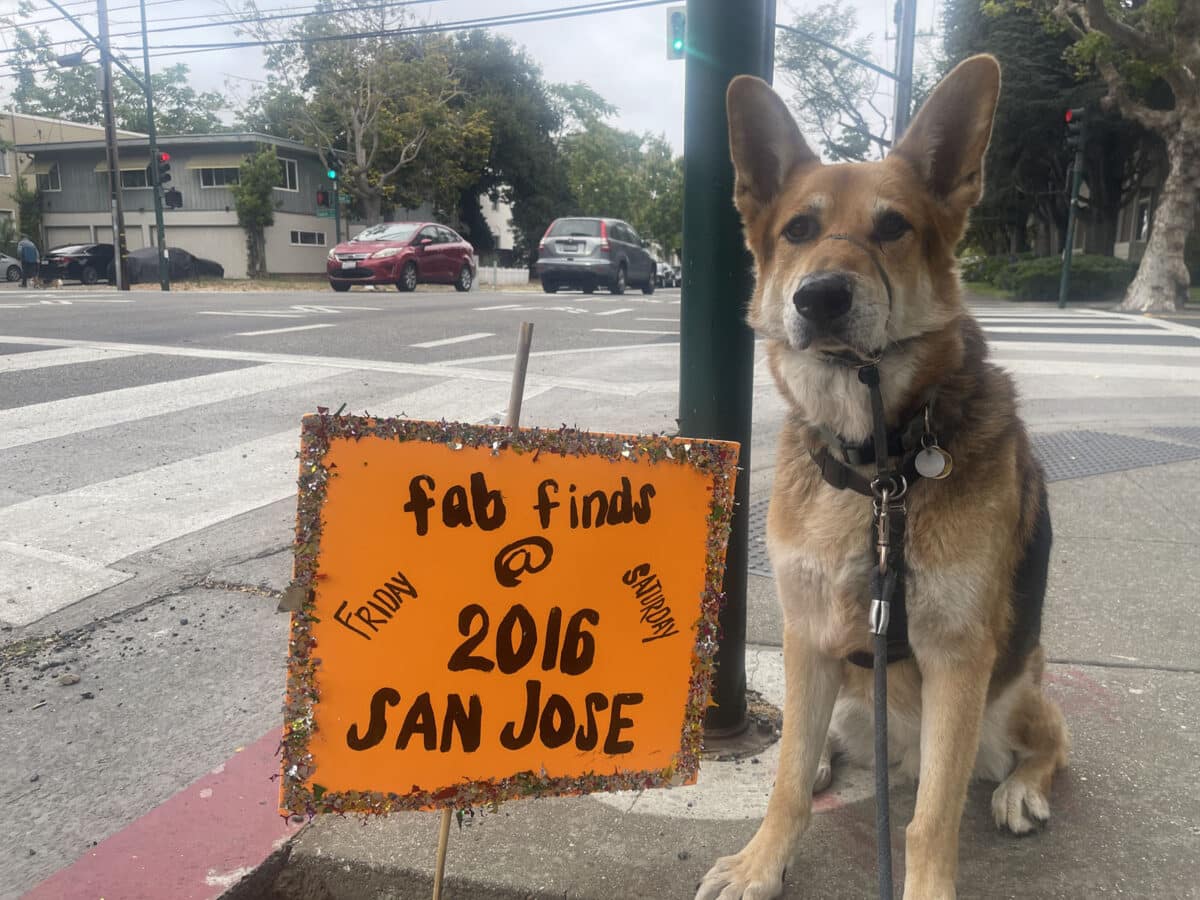 Alameda Post - Mouf sits next to a sign that says "fab finds @ 2016 San Jose"