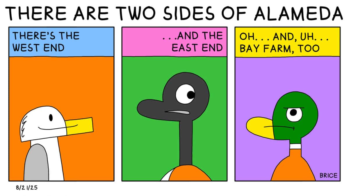 Alameda Post - Two Birds from Alameda for August 21, 2025. First panel: Seagull smiles while text above says "There's the West End." Second panel: Goose looks over their shoulder while text above says "... and the East End." Final panel: A duck looks disgruntled while text above says "Oh... and uh... Bay Farm too."