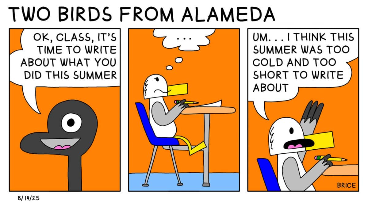 Alameda Post - Two Birds from Alameda for August 14, 2025. First panel: A Goose says, "Ok , class, it's time to write about what you did this summer." In the second panel, a seagull sits at a desk and thinks." Third panel: The seagull raises their hand and says, "Um... I think this summer was too cold and too short to write about."