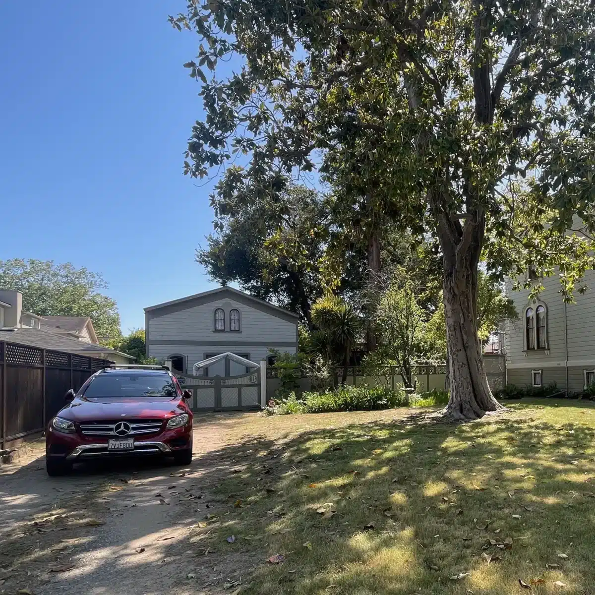 Alameda Post - a tree in a yard in front of a house