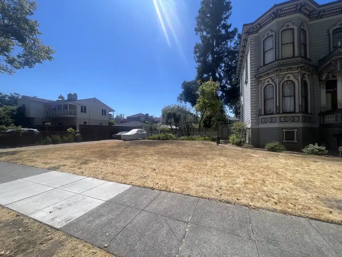 Alameda Post - a house with no tree in the yard