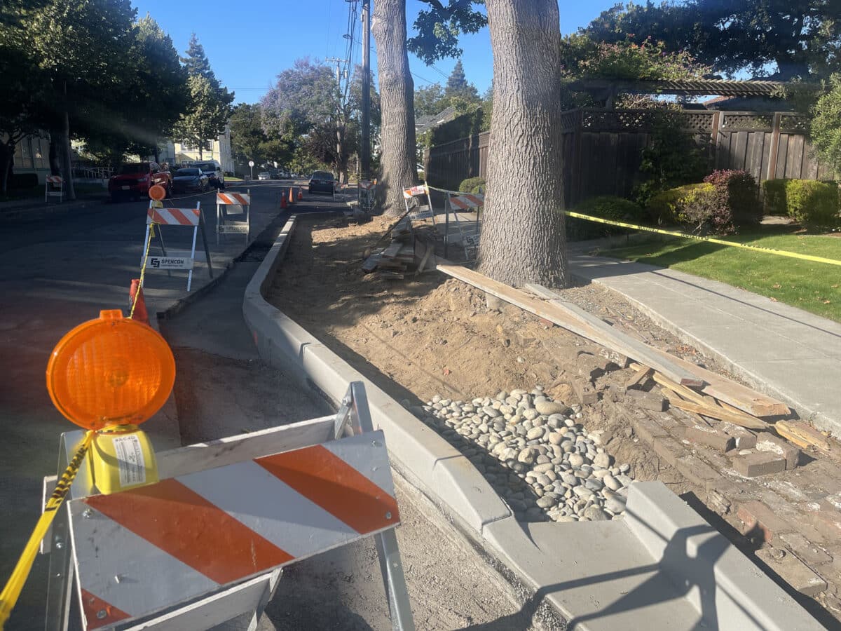 Alameda Post - repairs being done to a sidewalk where tree roots came up through the cement. Instead, rocks are being laid by the trees