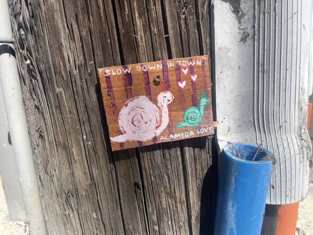 Alameda Post - a handmade sign on a phone pole that says Slow down in town"