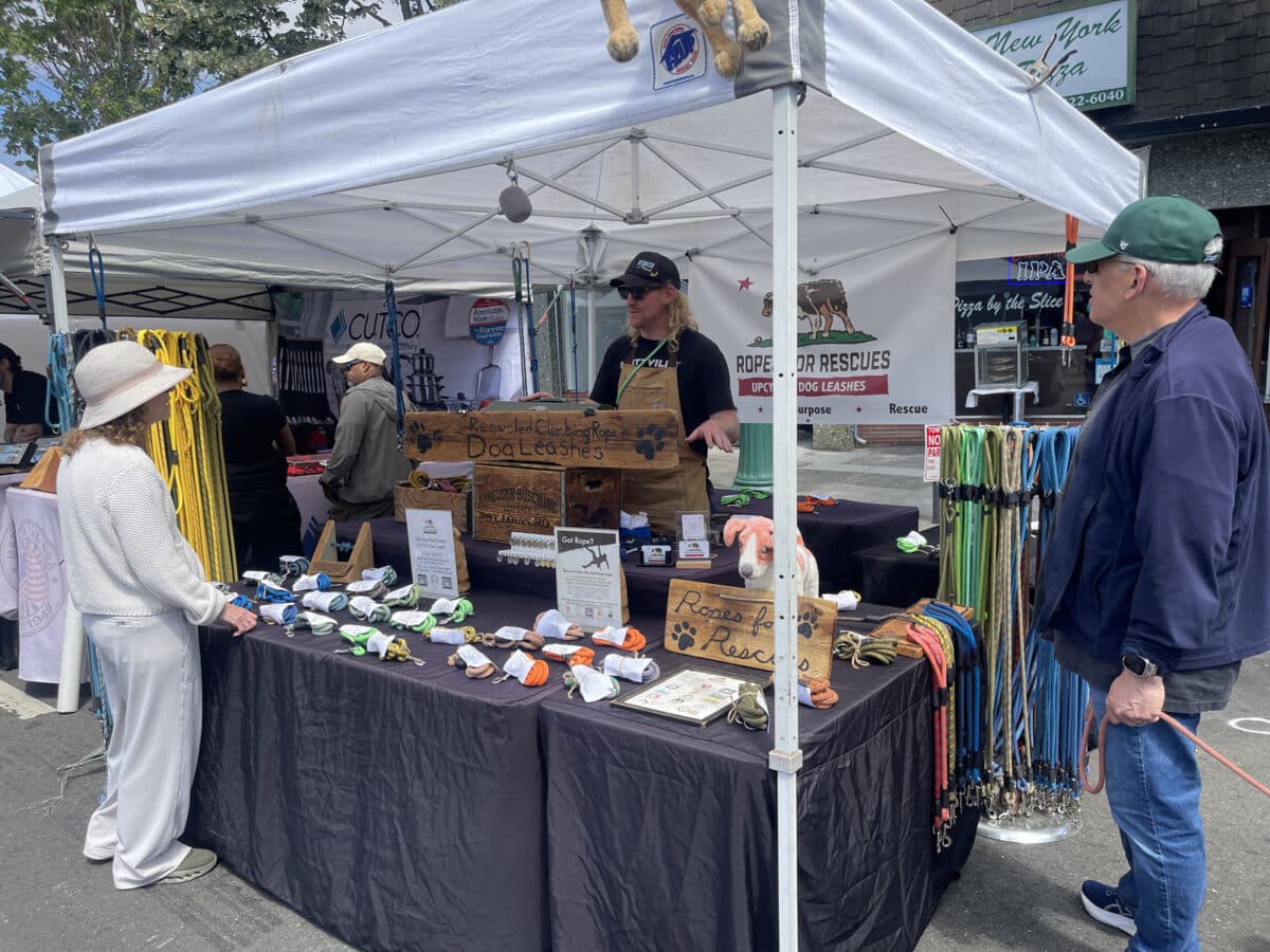 Alameda Post - a booth at the Art and Wine Faire selling leashes