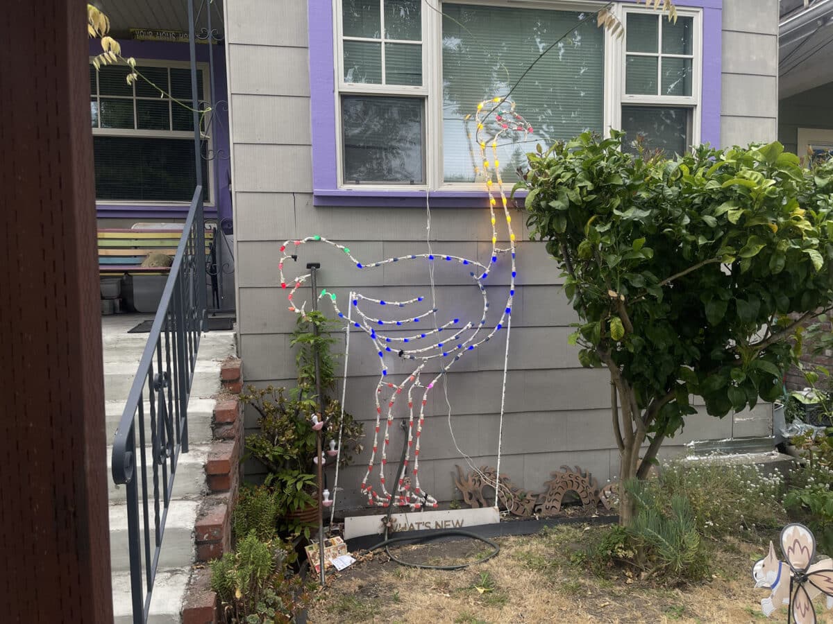 Alameda Post - a multicolored lighted outline of an ostrich 