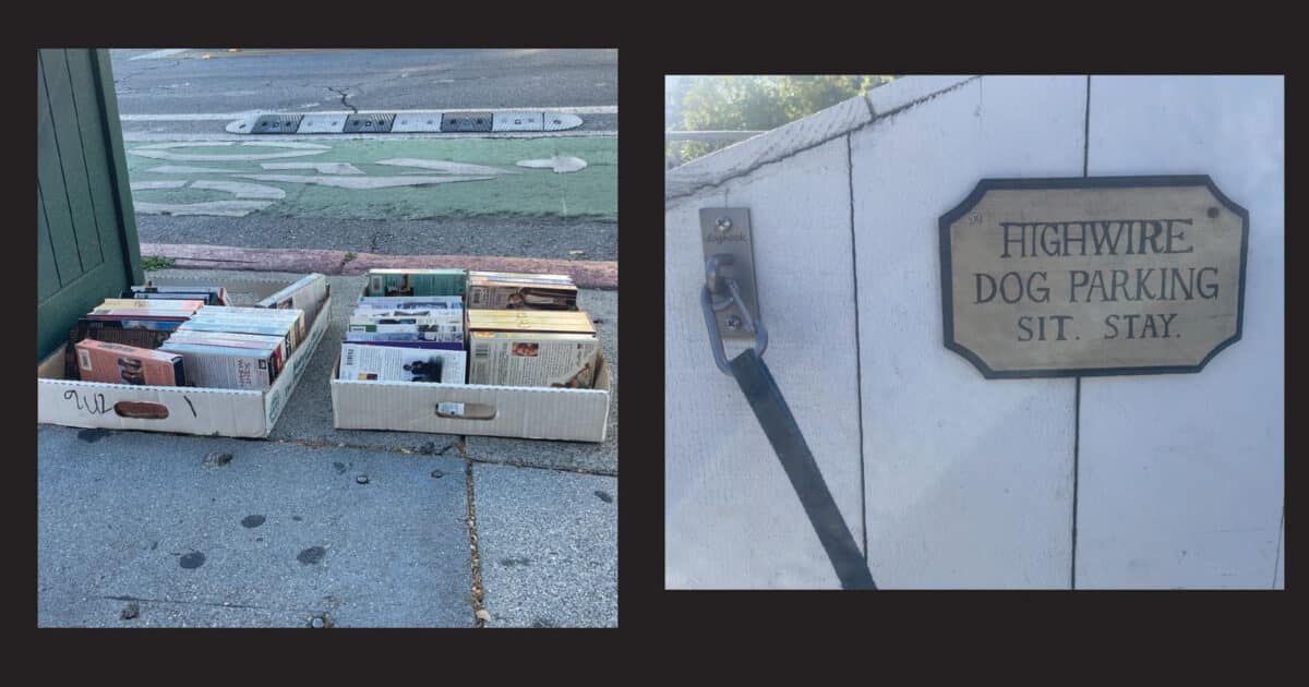 Alameda Post - two boxes of movies on the sidewalk, and a sign on a fence next to a hitch that says "Highwire Dog Parking. Sit. Stay."