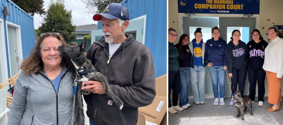 Alameda Post - Dexter the puppy meets human friends