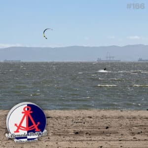 Alameda PostCast episode 166 for August 8, 2025