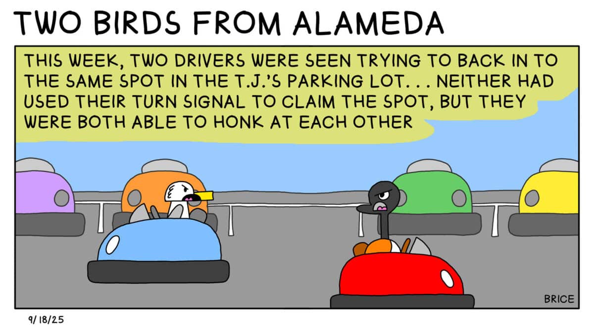 Alameda Post - Two Birds from Alameda for September 18, 2025. In the only panel, Goose and Seagull are seen angrily driving cars in a parking lot. Text across the top says, "This week, two drivers were seen trying to back in to the same spot in the TJ's parking lot. Neither had used their turn signal to claim the spot, but they were both able to honk at each other"